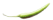 green pepper small